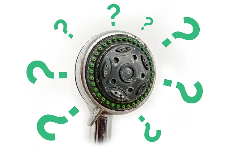 How to descale and clean a shower head removing white limescale deposits