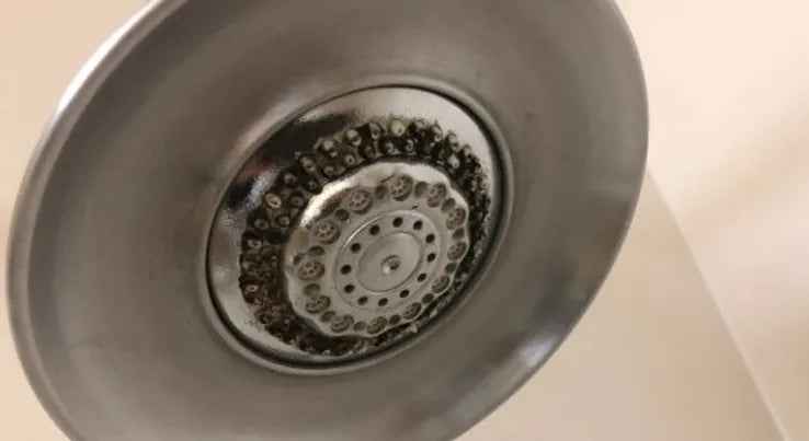Bakterier och mögel inuti ett duschmunstycke som behöver rengöras på djupet